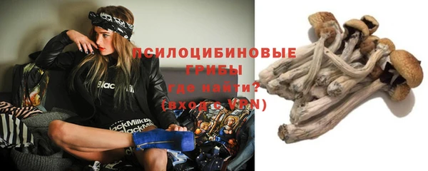 дмт Гусь-Хрустальный