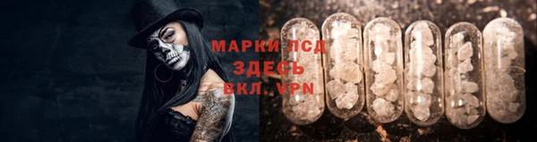 ALPHA-PVP Гусев