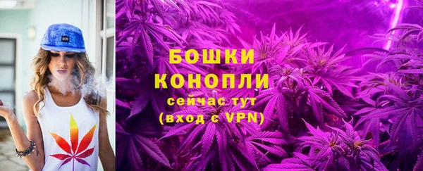 ALPHA-PVP Гусев